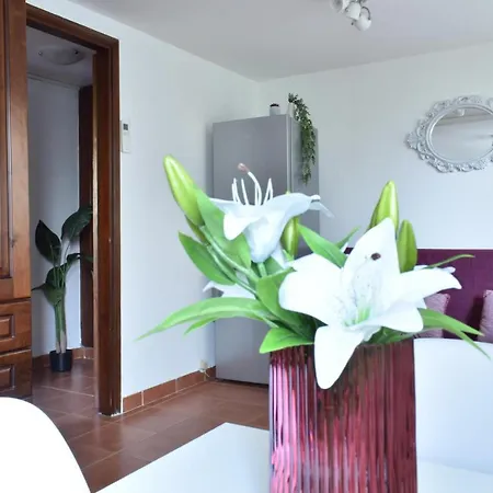 Welc-om Civico 30 Apartamento *